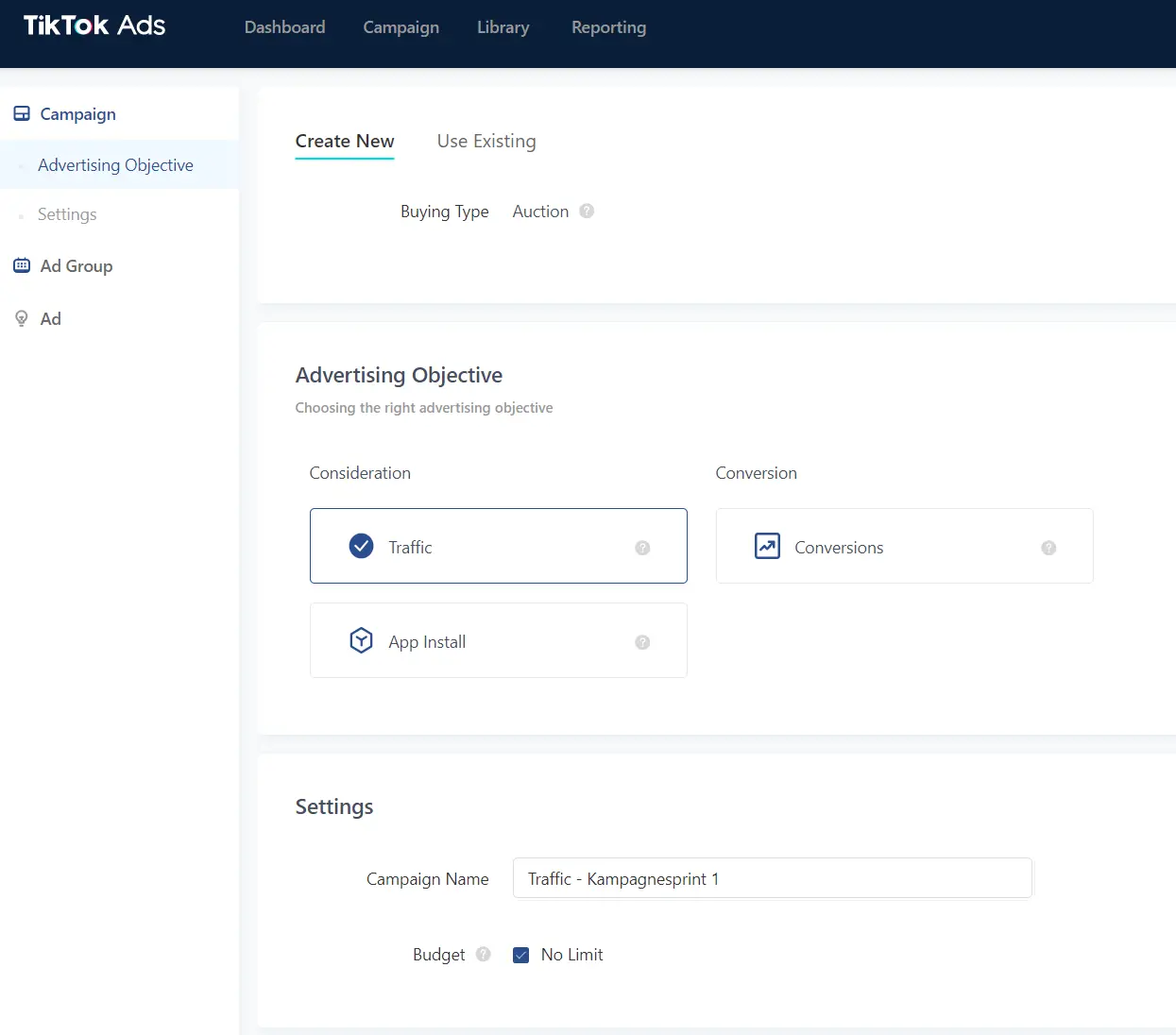Tiktok Campaign Settings screenshot of the advertisement setting page in TikTok