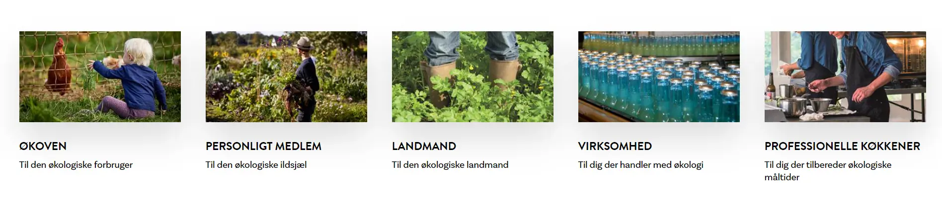 Oekologi Snippet Novicell