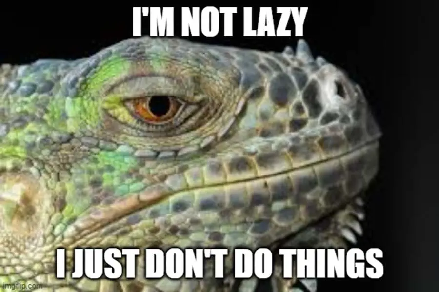 Leguan Meme