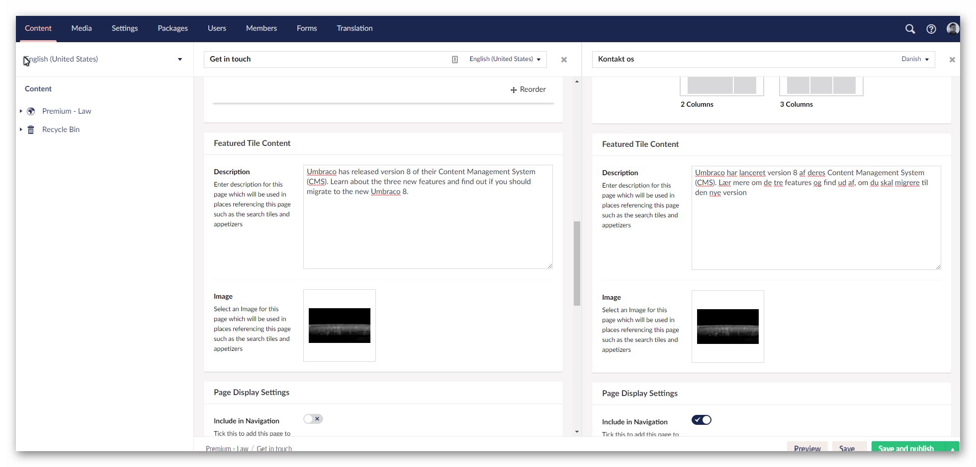 Umbraco8 Language Variants screenshot of website language variants on the backend