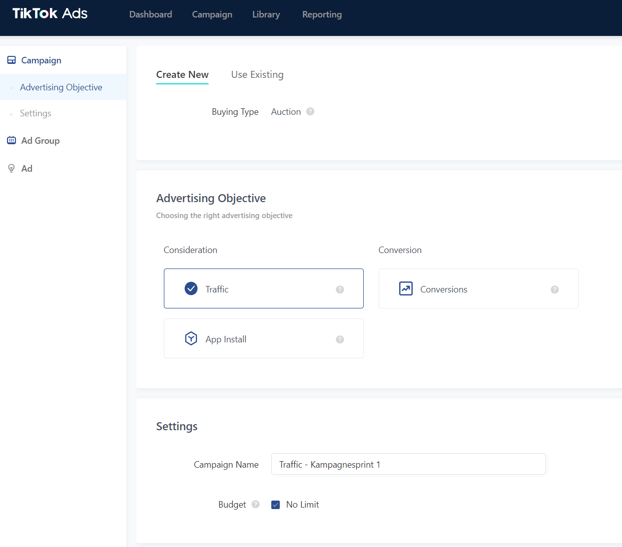 Tiktok Campaign Settings screenshot of the advertisement setting page in TikTok