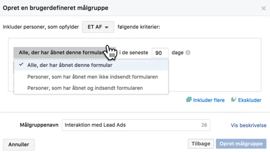 Målgrupper Interaktion Med Lead Ads
