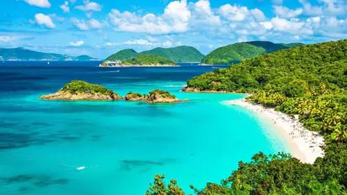 BENNS header image green island in the ocean